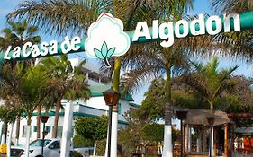 La Casa de Algodon